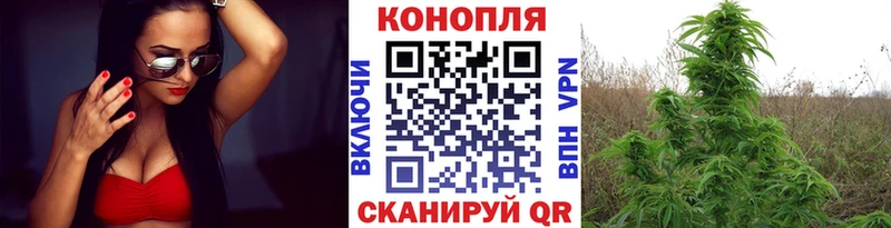 Конопля конопля  Советский 